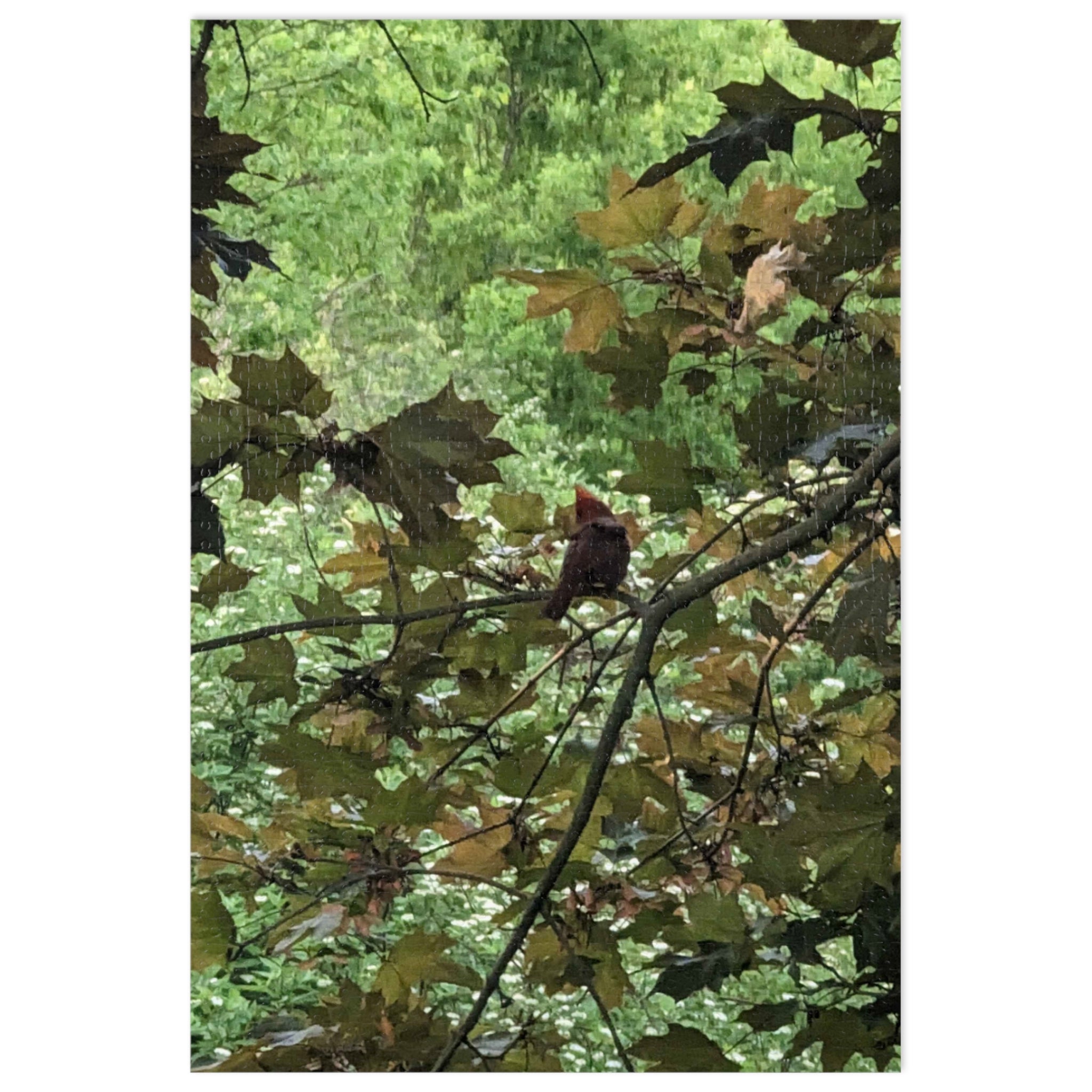Leaf Canopy Hiding Bird Jigsaw Puzzle — Nature Puzzle with Tin