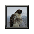 Hawk Photo Jewelry Box – Decorative Keepsake Box with Bird of Prey Image