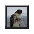 Hawk Photo Jewelry Box – Decorative Keepsake Box with Bird of Prey Image
