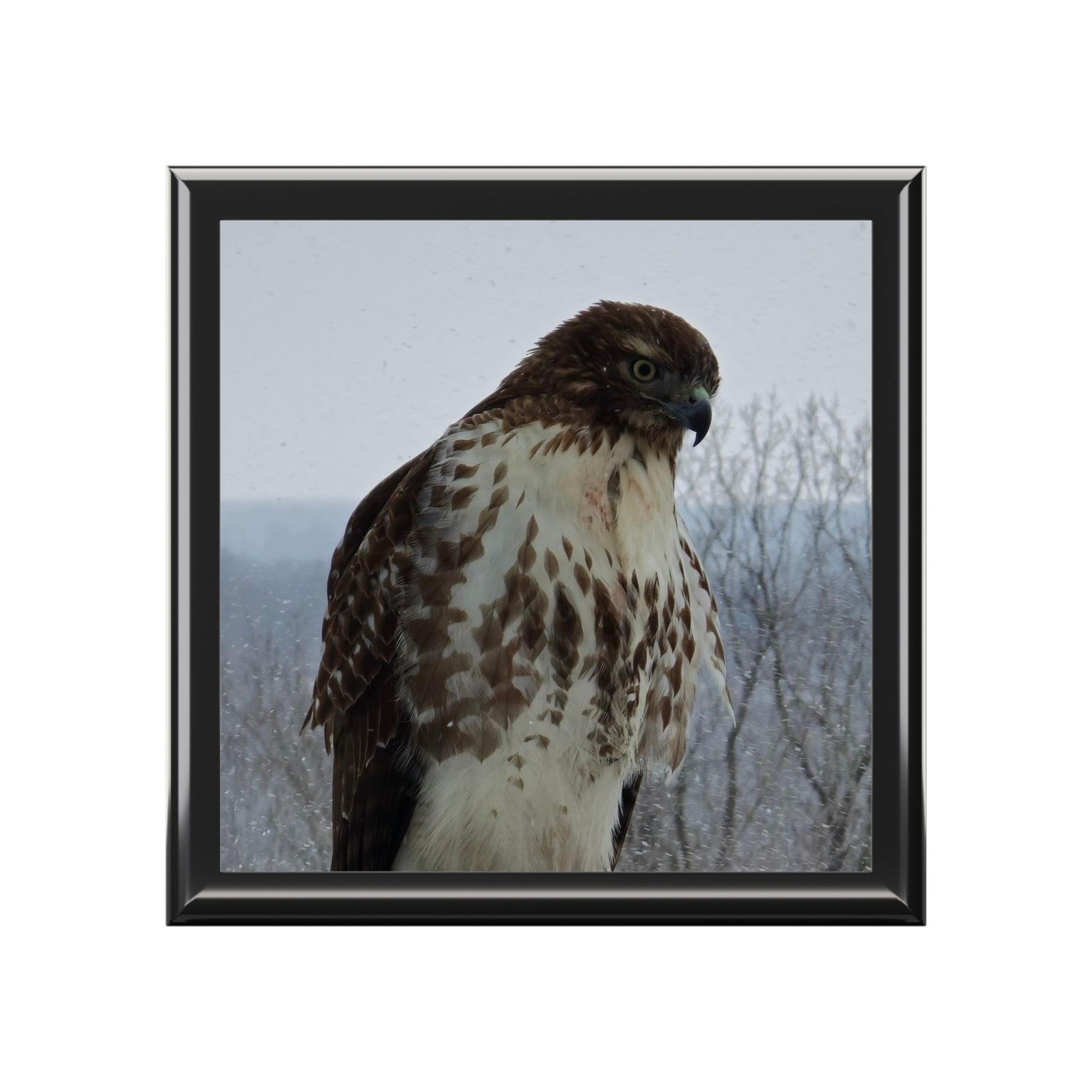 Hawk Photo Jewelry Box – Decorative Keepsake Box with Bird of Prey Image