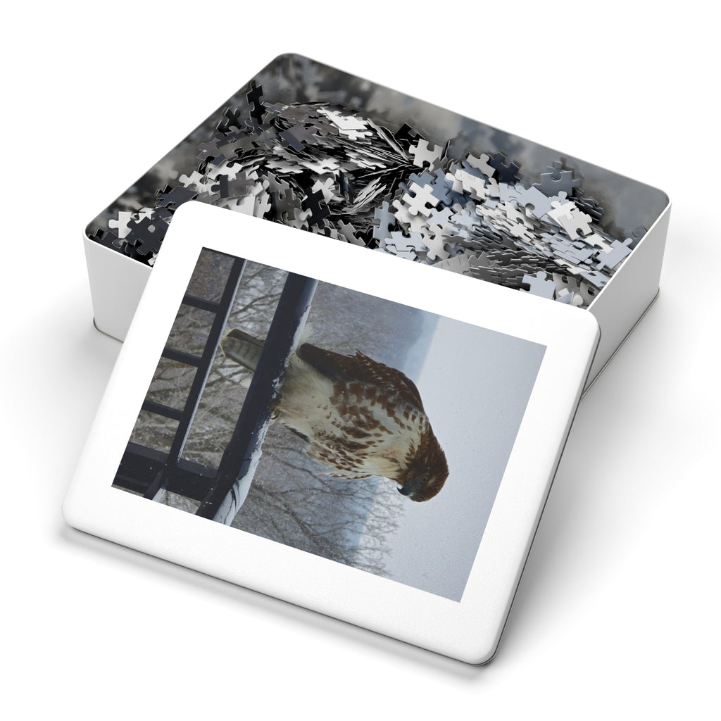 Red-Tailed Hawk Jigsaw Puzzle — Bird Photography Puzzle with Tin Gift Box