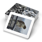 Red-Tailed Hawk Jigsaw Puzzle — Bird Photography Puzzle with Tin Gift Box