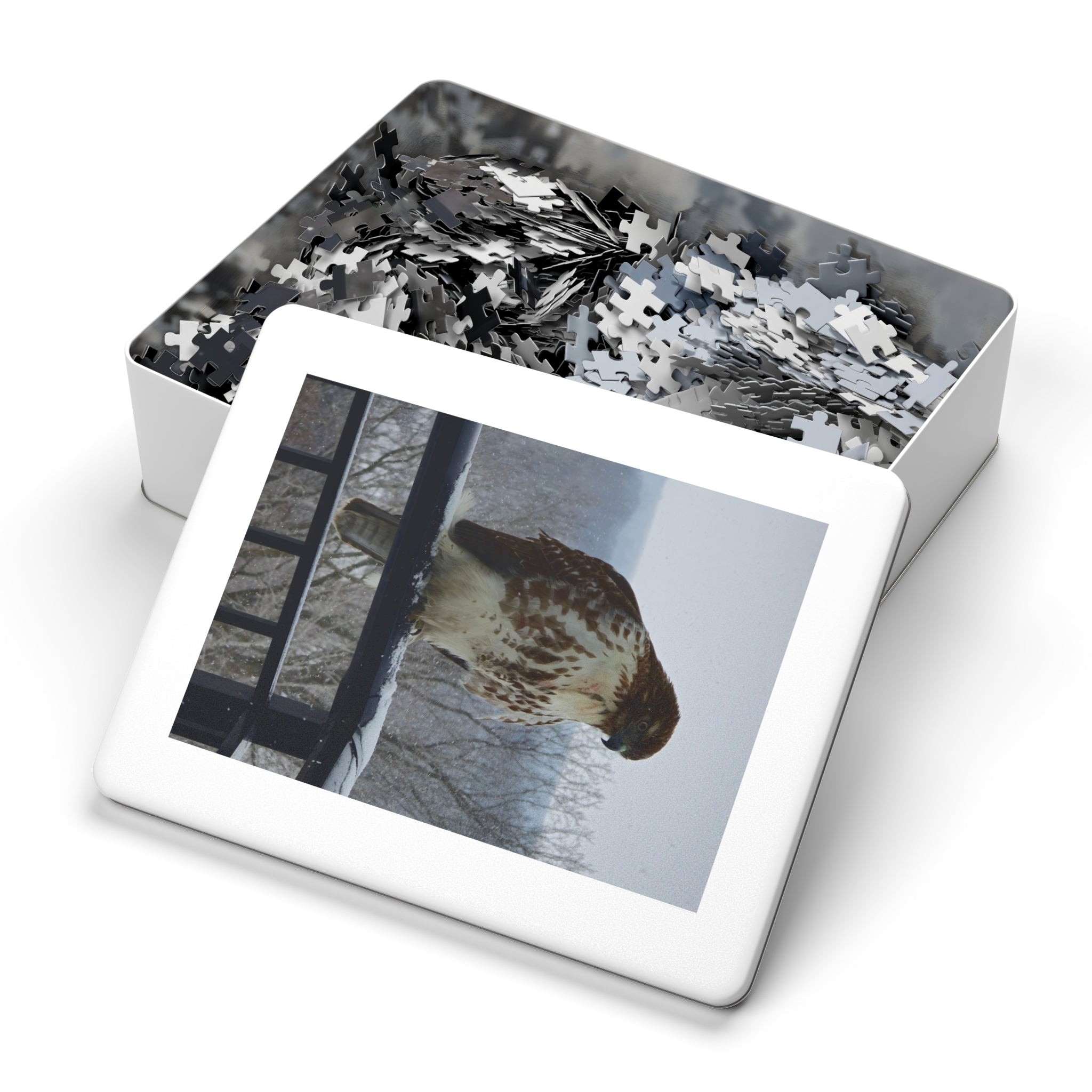 Red-Tailed Hawk Jigsaw Puzzle — Bird Photography Puzzle with Tin Gift Box