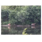 Deer by the River Jigsaw Puzzle with Tin — Scenic Nature Puzzle