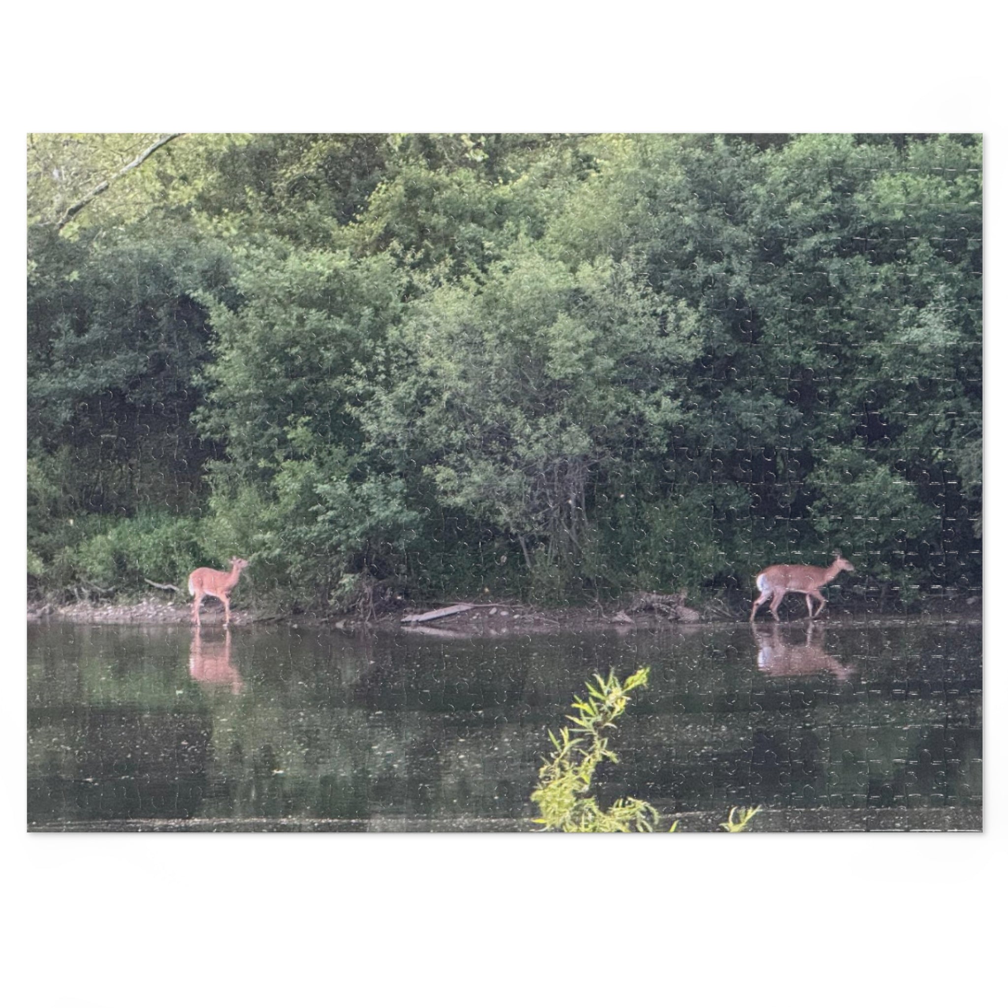 Deer by the River Jigsaw Puzzle with Tin — Scenic Nature Puzzle