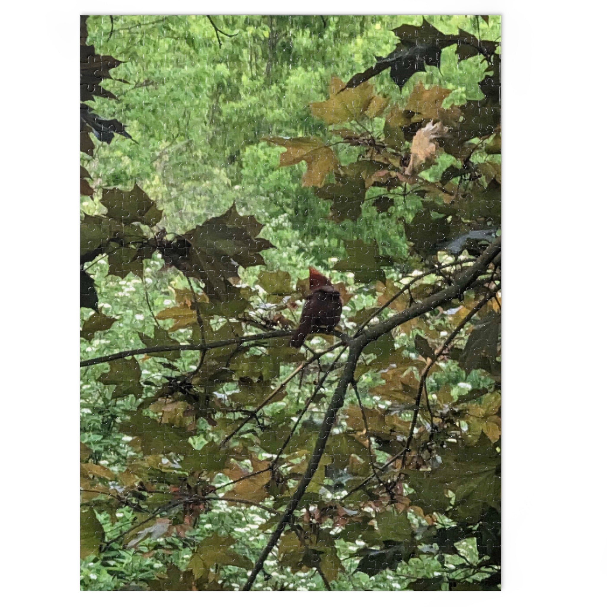 Leaf Canopy Hiding Bird Jigsaw Puzzle — Nature Puzzle with Tin