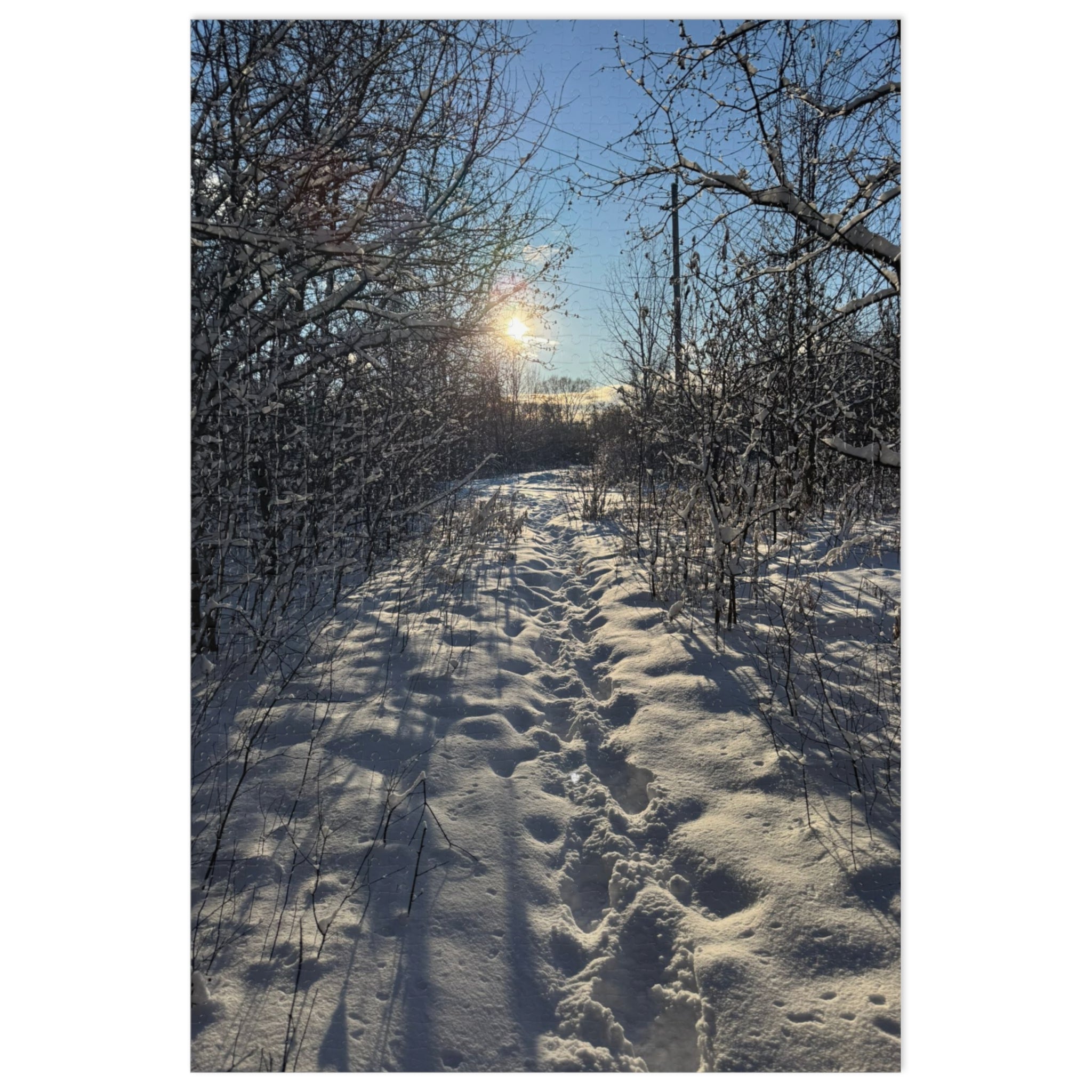 Winter Snowy Path Jigsaw Puzzle with Tin