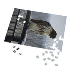Red-Tailed Hawk Jigsaw Puzzle — Bird Photography Puzzle with Tin Gift Box