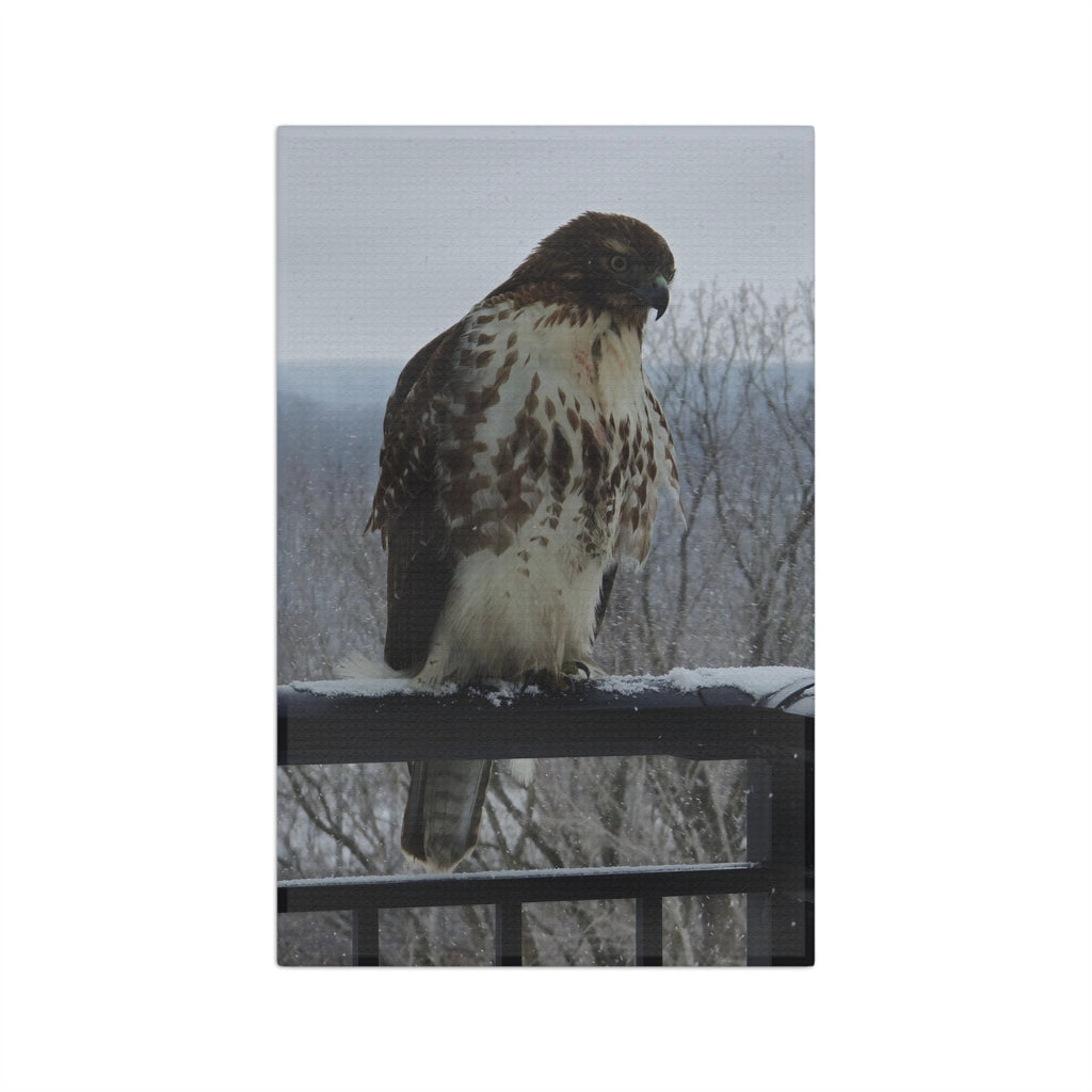 Hawk Photo Microfiber Tea Towel — Rustic Wildlife Kitchen Towel