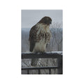 Hawk Photo Microfiber Tea Towel — Rustic Wildlife Kitchen Towel