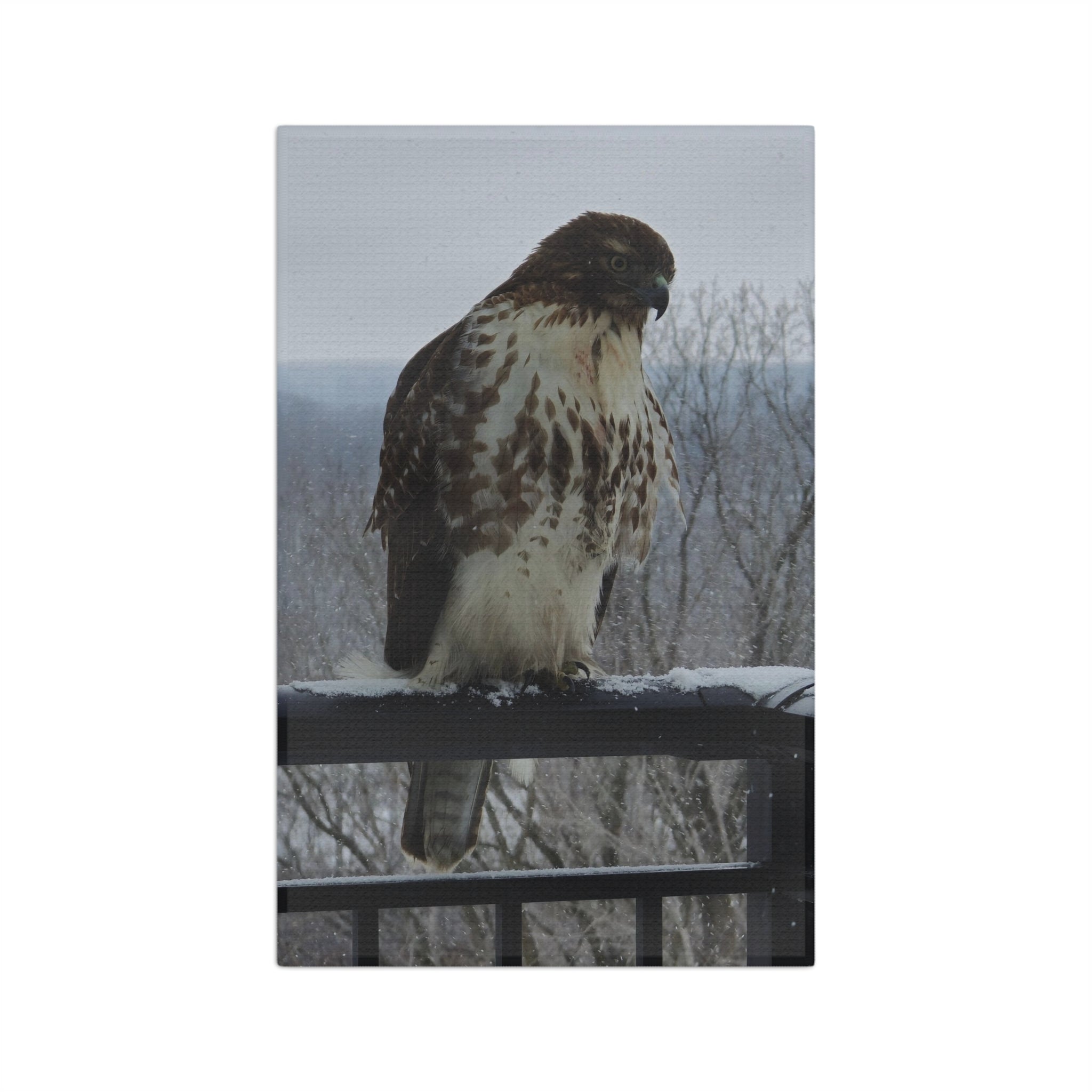 Hawk Photo Microfiber Tea Towel — Rustic Wildlife Kitchen Towel