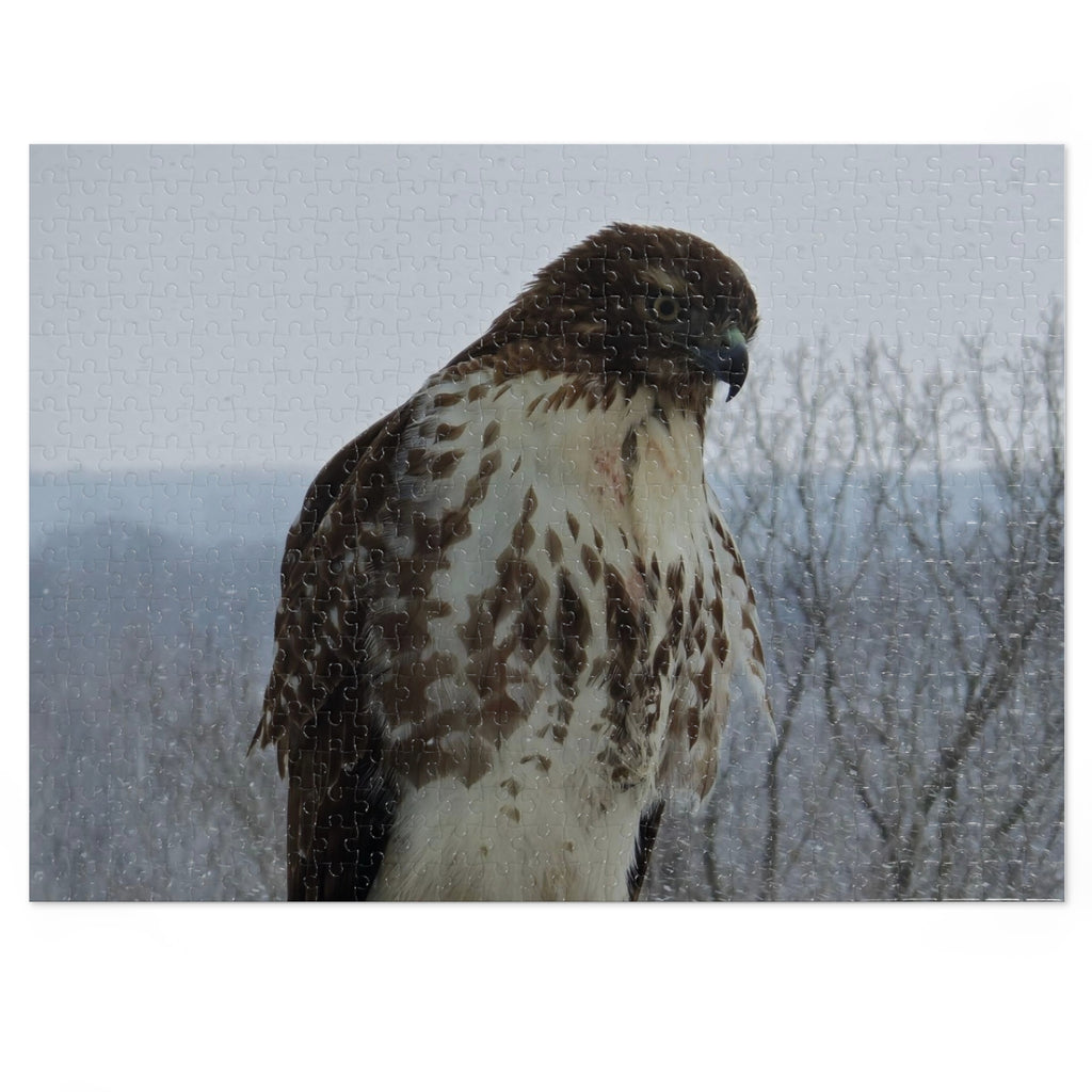 Hawk Photography Jigsaw Puzzle with Tin – Wildlife Puzzle
