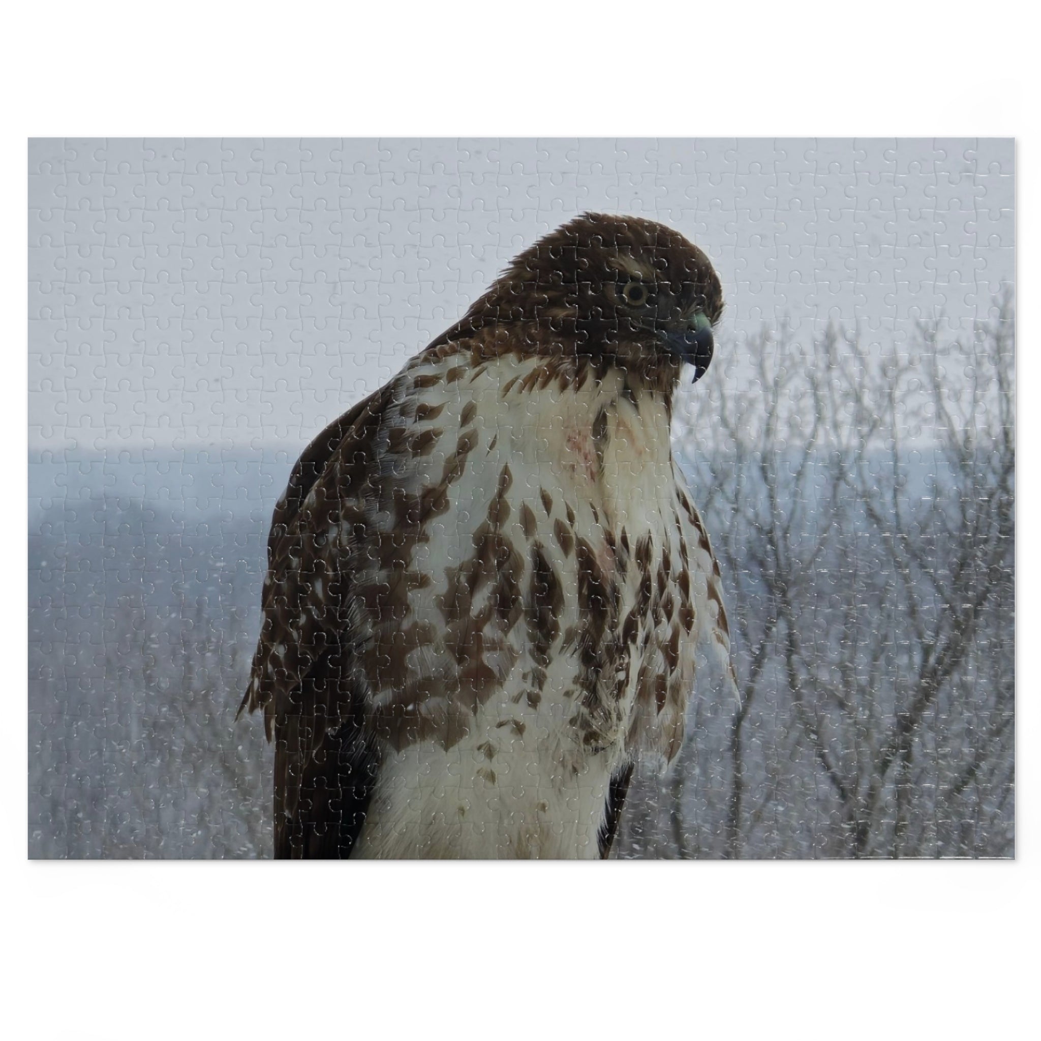 Hawk Photography Jigsaw Puzzle with Tin – Wildlife Puzzle