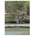 Heron Shoreline Jigsaw Puzzle with Tin – Nature Wildlife Puzzle