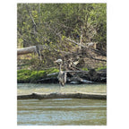 Heron Shoreline Jigsaw Puzzle with Tin – Nature Wildlife Puzzle