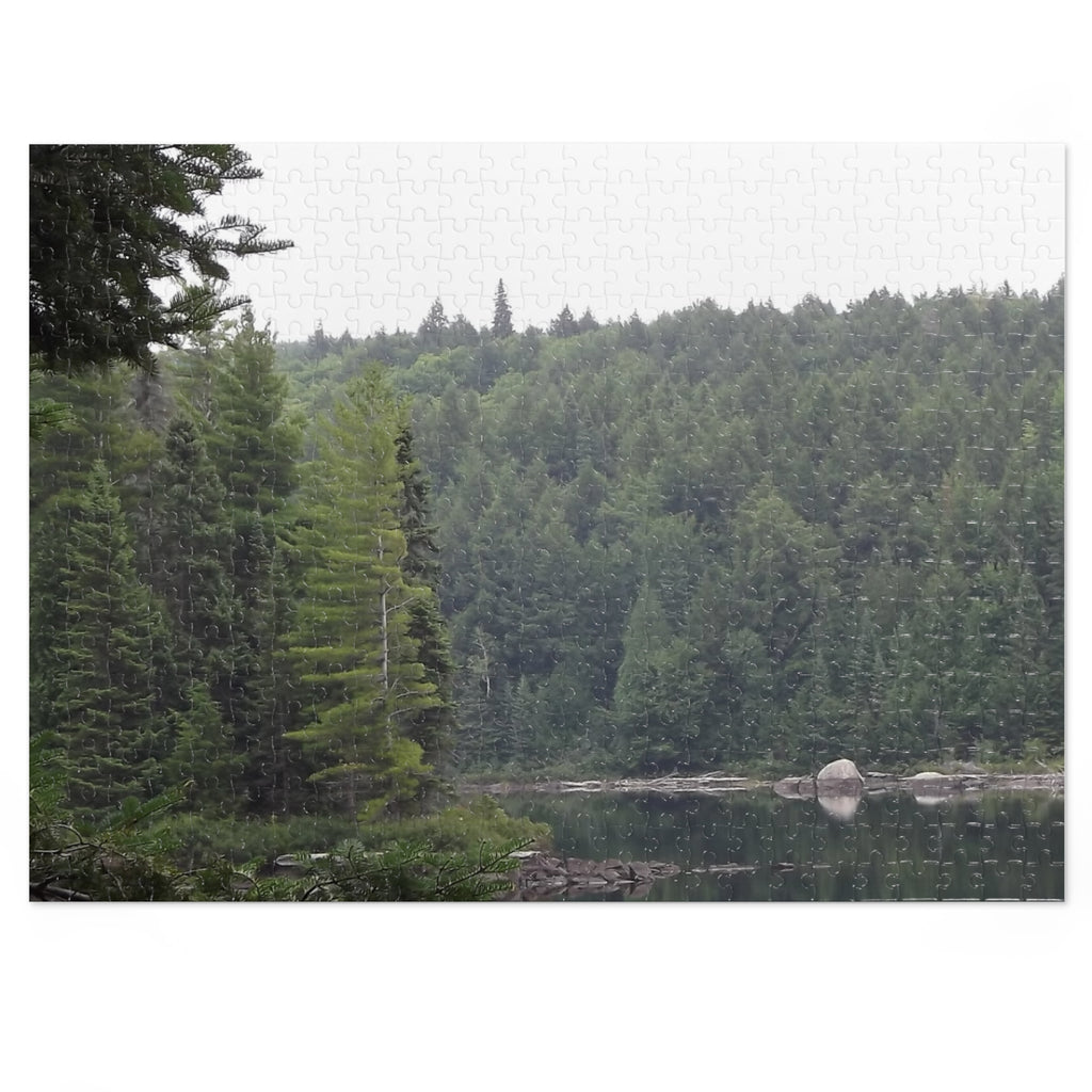 National Park Jigsaw Puzzle (Scenic Nature Puzzle with Tin)
