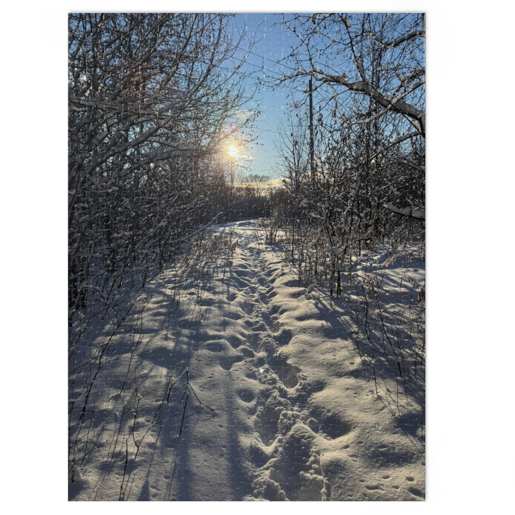 Winter Snowy Path Jigsaw Puzzle with Tin