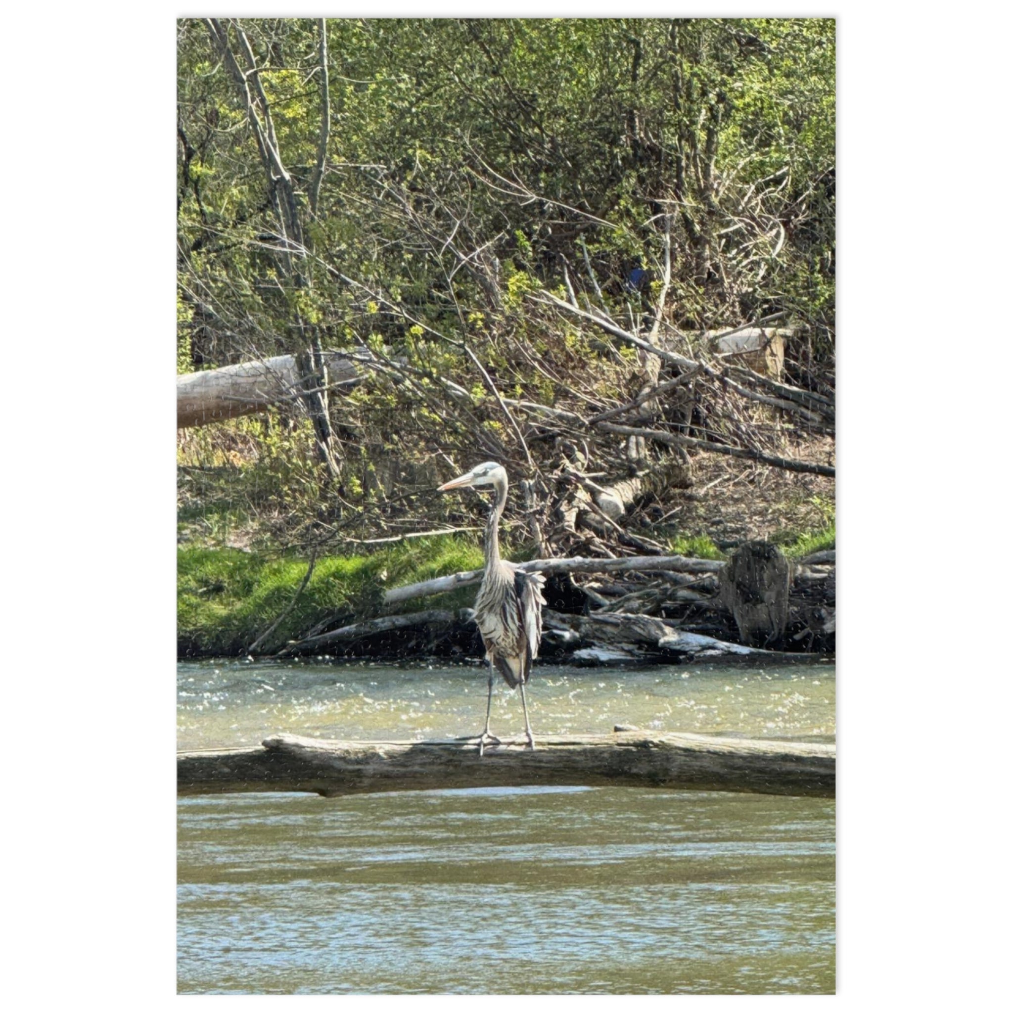 Heron Shoreline Jigsaw Puzzle with Tin – Nature Wildlife Puzzle