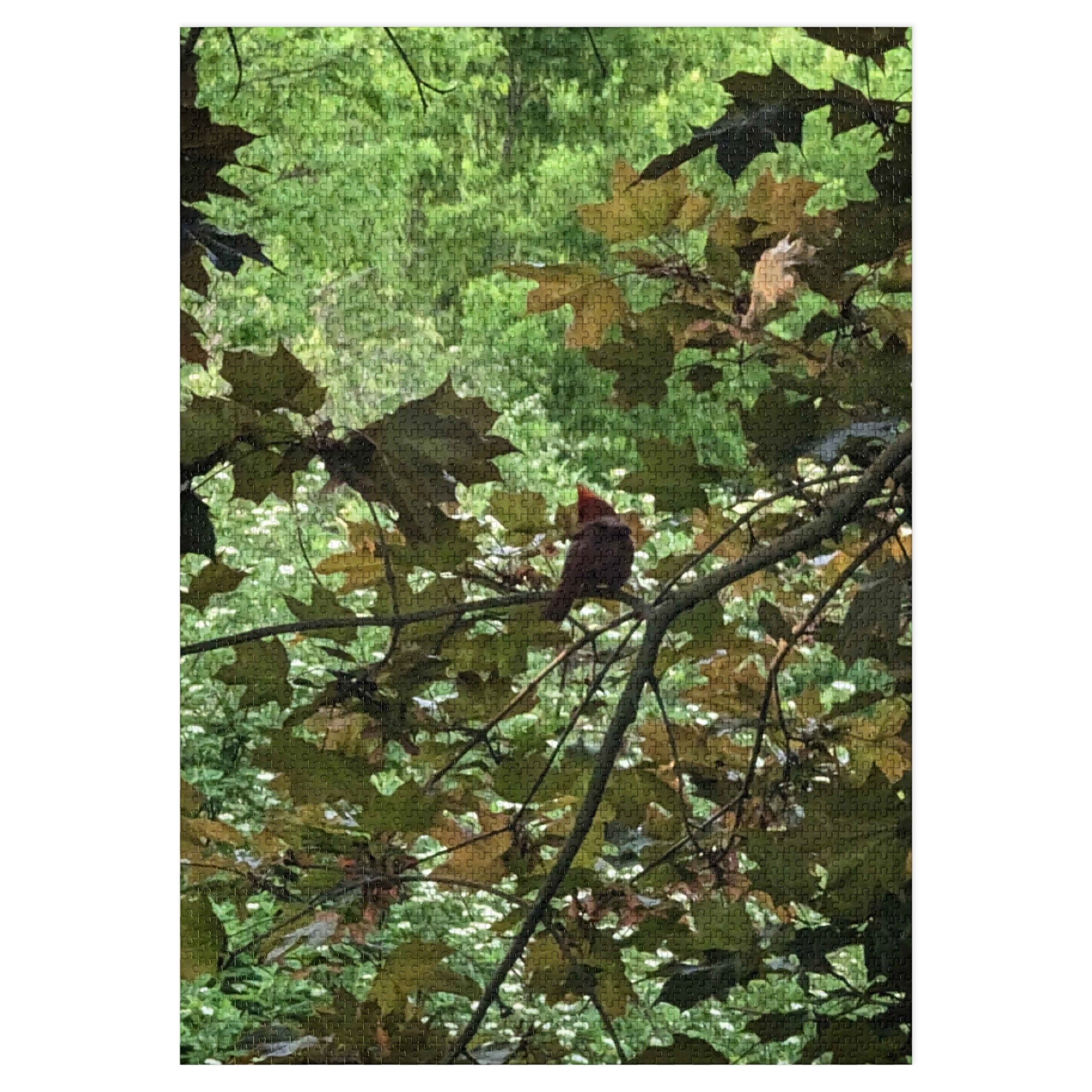 Leaf Canopy Hiding Bird Jigsaw Puzzle — Nature Puzzle with Tin