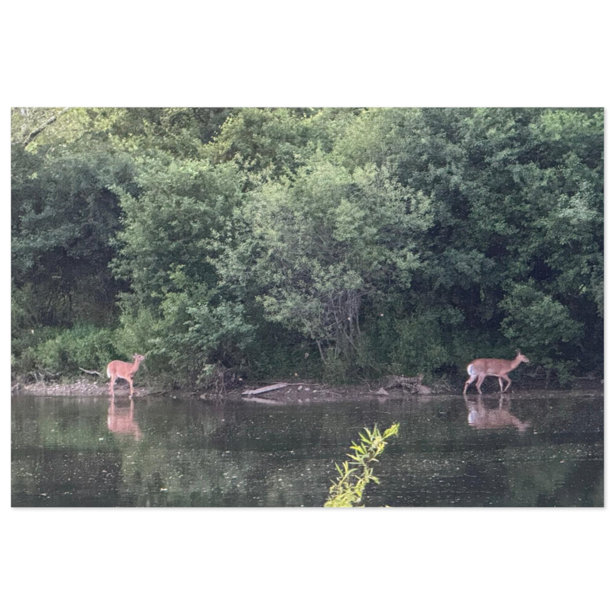 Deer by the River Jigsaw Puzzle with Tin — Scenic Nature Puzzle