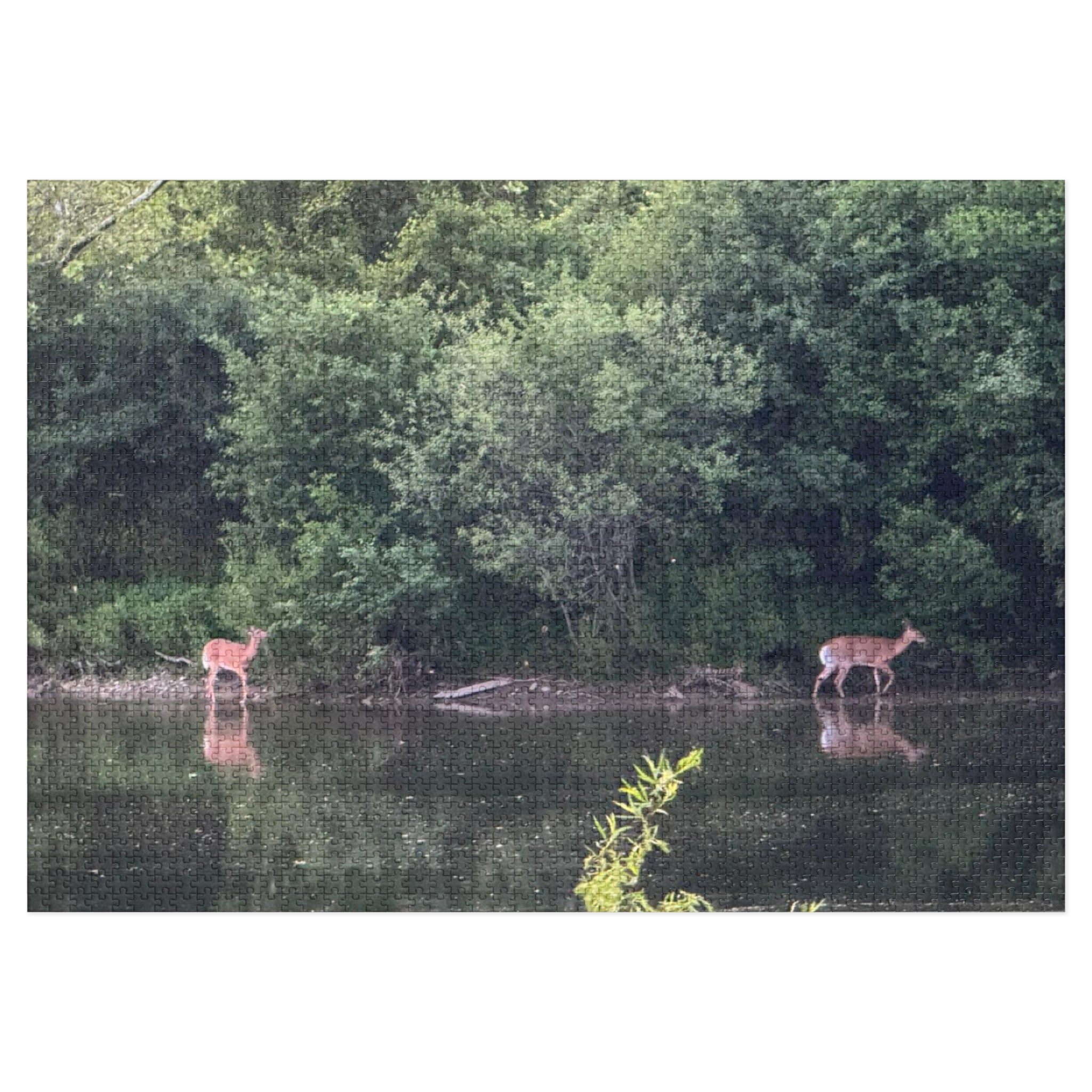 Deer by the River Jigsaw Puzzle with Tin — Scenic Nature Puzzle