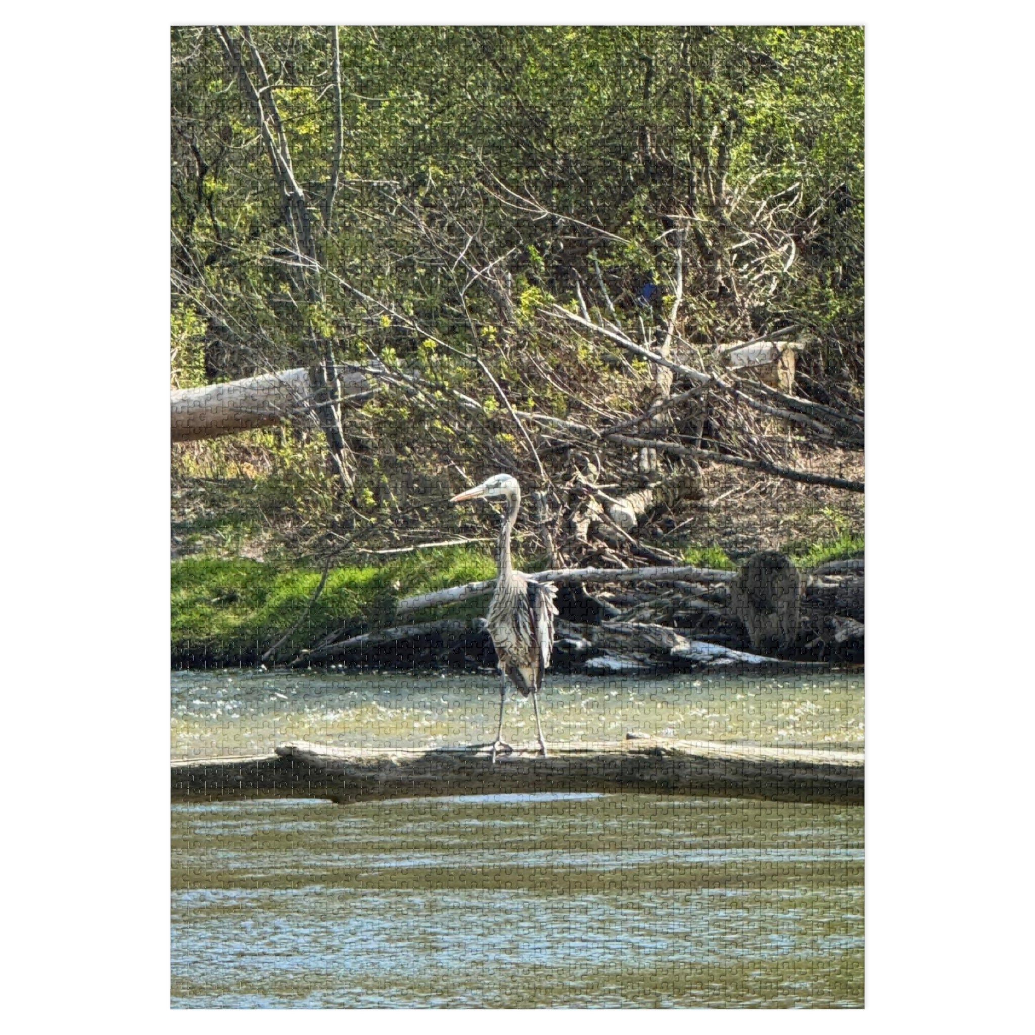 Heron Shoreline Jigsaw Puzzle with Tin – Nature Wildlife Puzzle