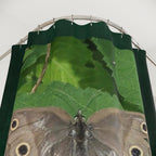 Butterfly Leaf Shower Curtain — Nature-Inspired Moth Print Bathroom Decor