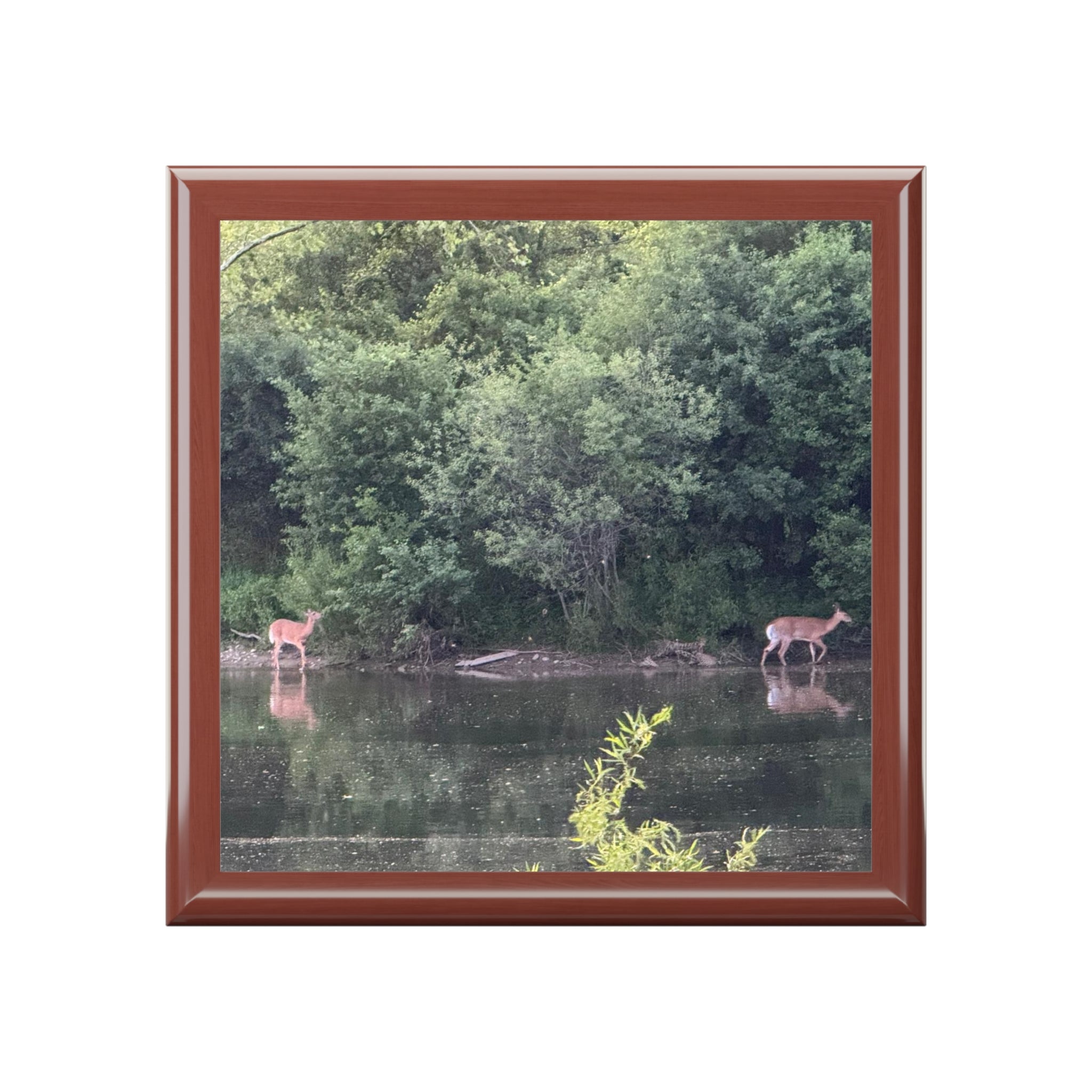Woodland Deer Jewelry Box — Scenic Lake Reflection Keepsake Box