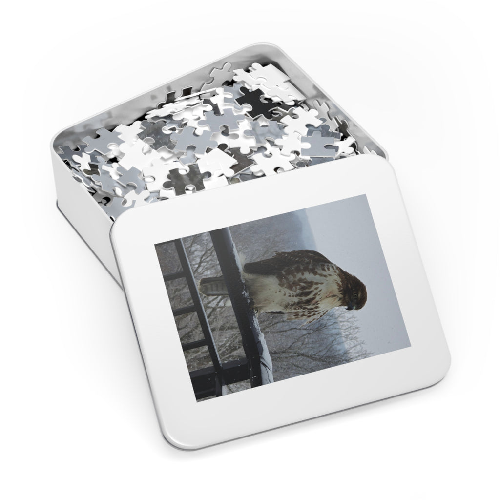 Red-Tailed Hawk Jigsaw Puzzle — Bird Photography Puzzle with Tin Gift Box