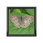 Butterfly Jewelry Box - Nature Photo Keepsake Box