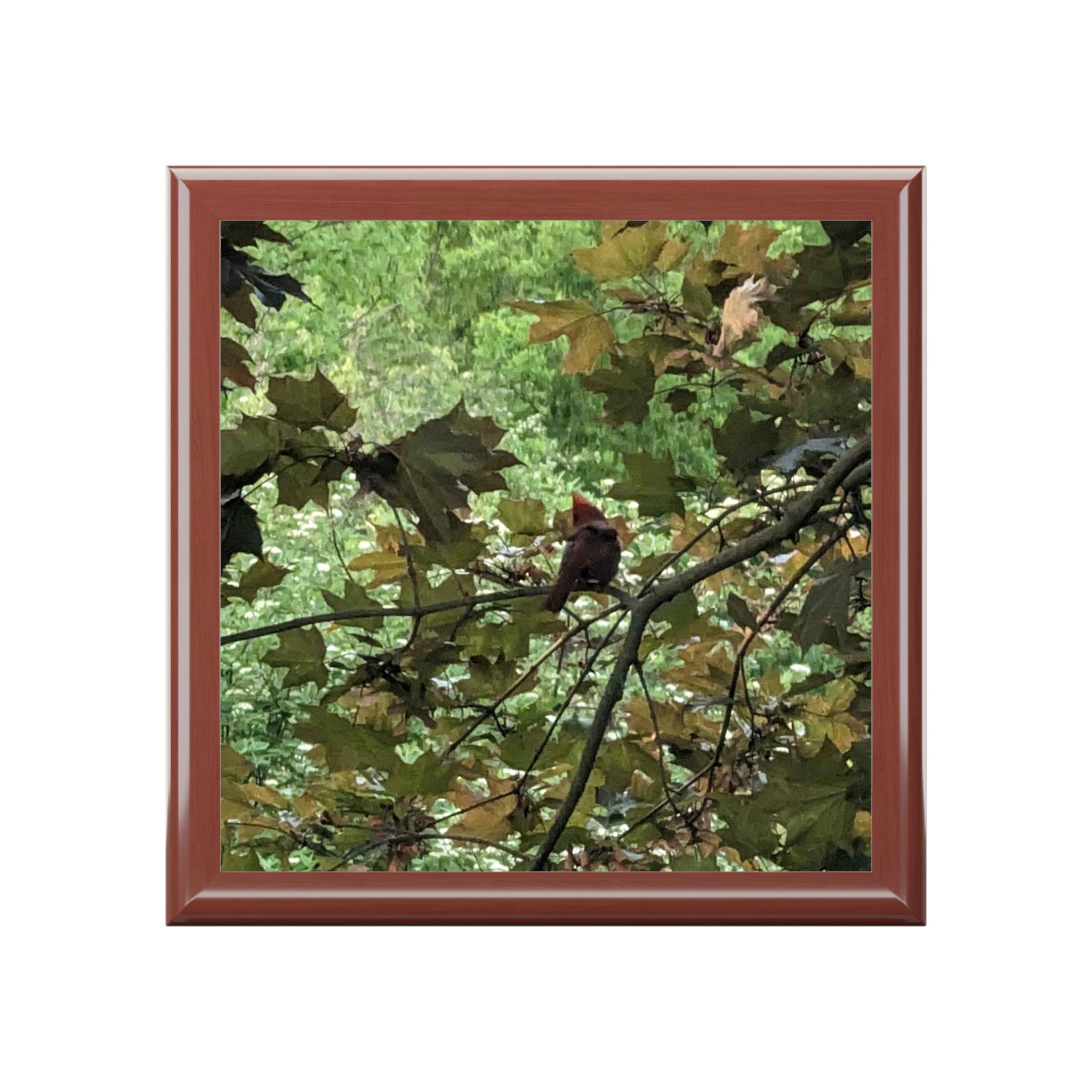 Woodland Leaves Jewelry Box — Nature Photo Keepsake Box
