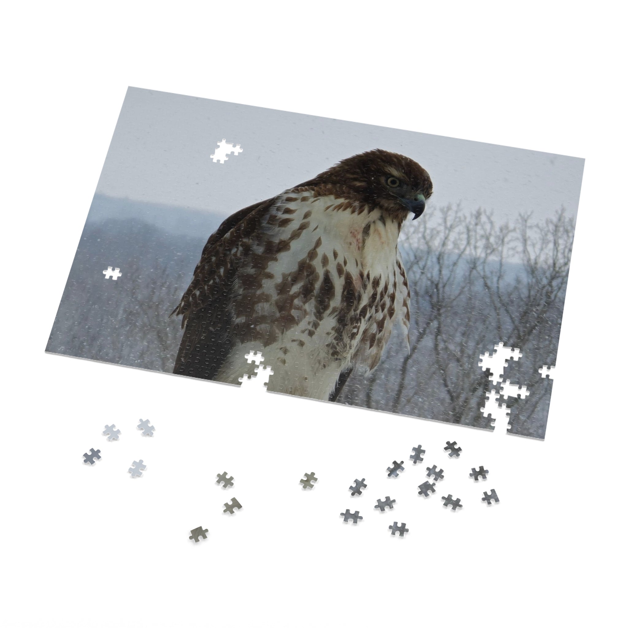 Hawk Photography Jigsaw Puzzle with Tin – Wildlife Puzzle