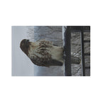 Hawk Photo Microfiber Tea Towel — Rustic Wildlife Kitchen Towel