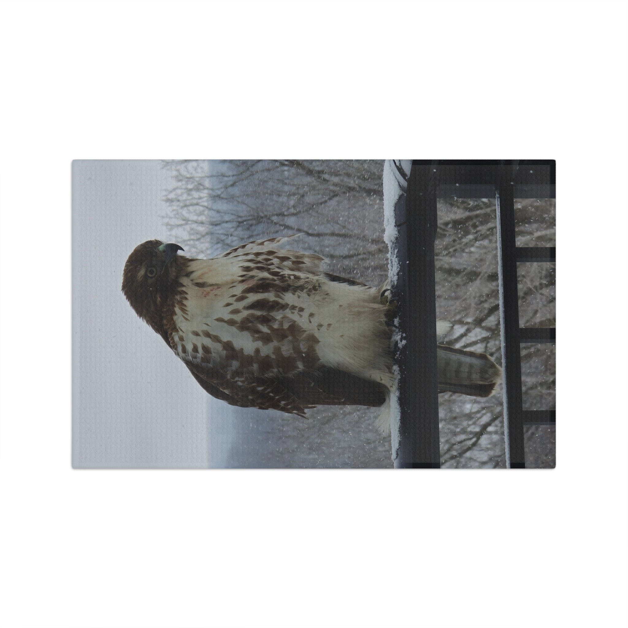 Hawk Photo Microfiber Tea Towel — Rustic Wildlife Kitchen Towel