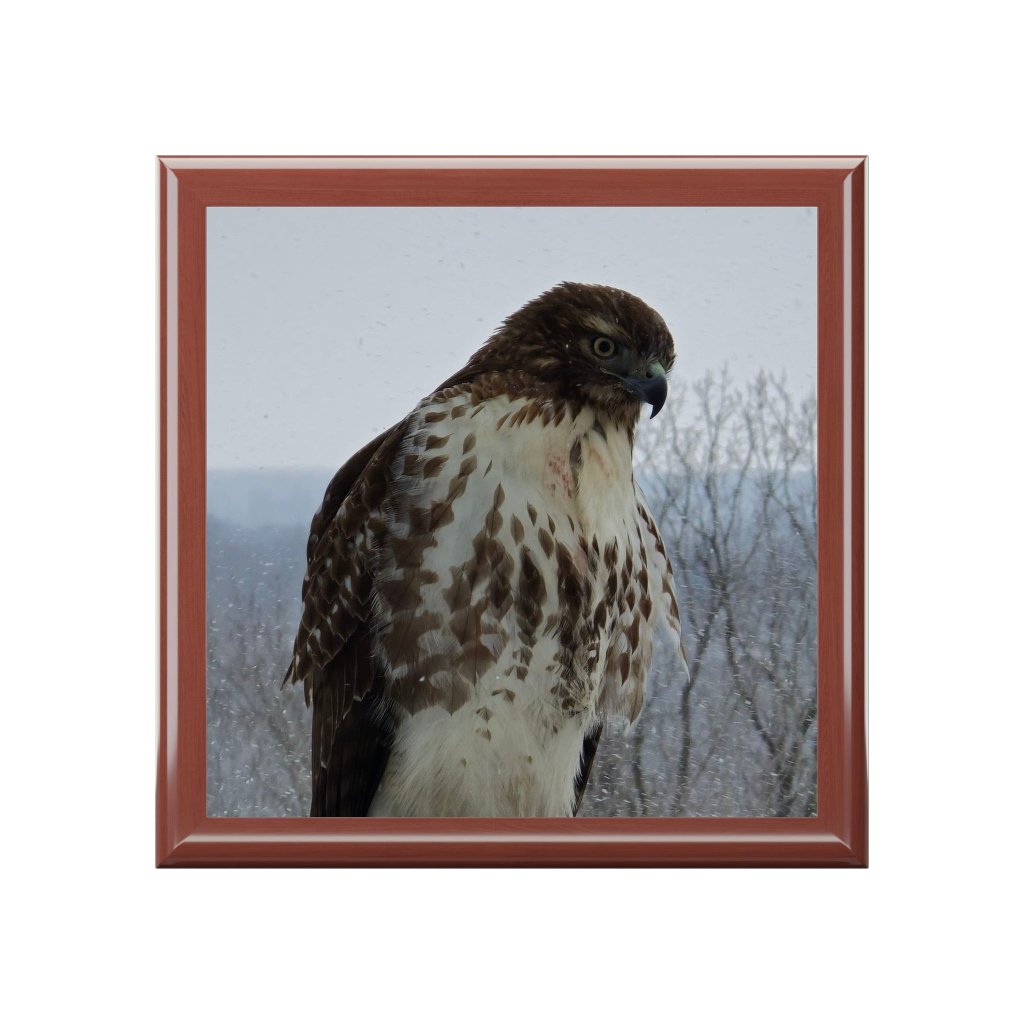 Hawk Photo Jewelry Box – Decorative Keepsake Box with Bird of Prey Image