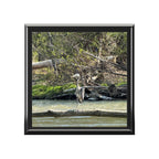 Heron River Jewelry Box — Nature Photo Keepsake Box
