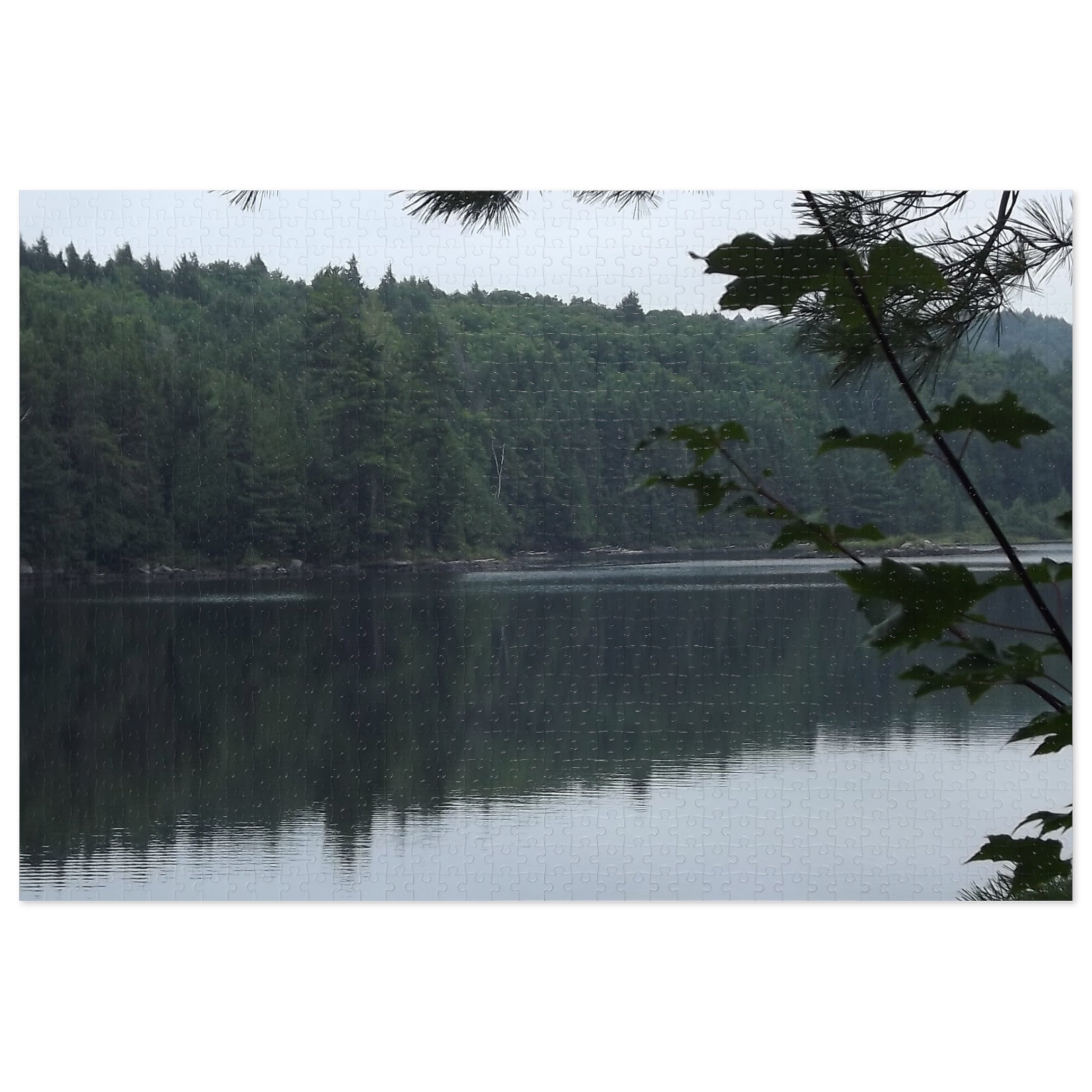 Lake Reflection Jigsaw Puzzle (with Tin) — Tranquil Forest Landscape Puzzle