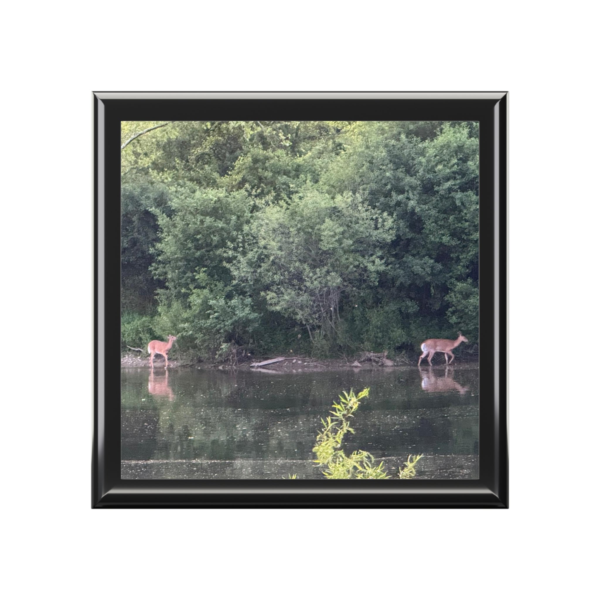 Woodland Deer Jewelry Box — Scenic Lake Reflection Keepsake Box