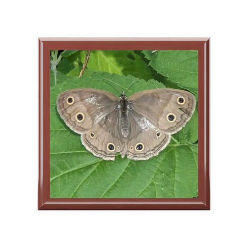 Butterfly Jewelry Box - Nature Photo Keepsake Box