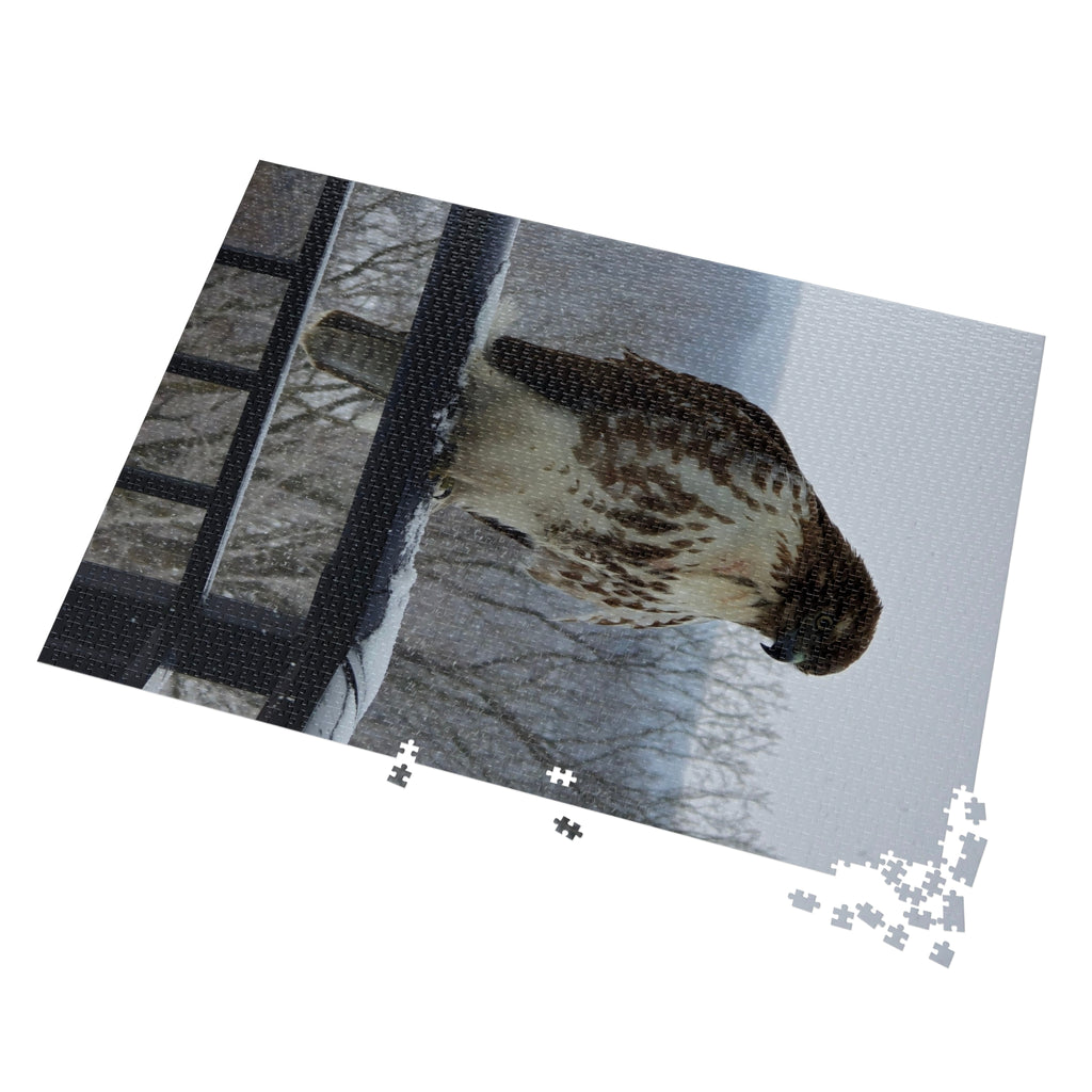 Red-Tailed Hawk Jigsaw Puzzle — Bird Photography Puzzle with Tin Gift Box