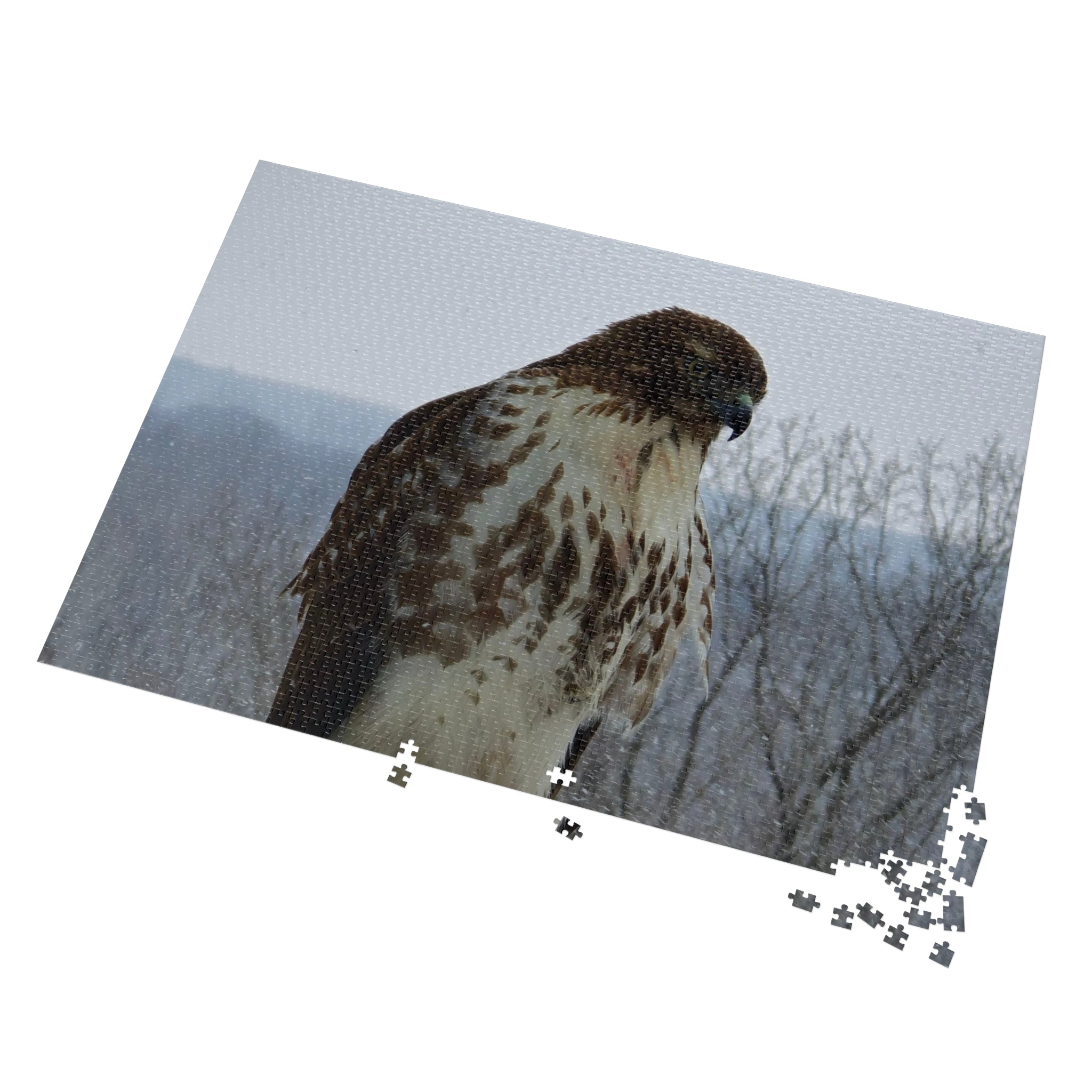 Hawk Photography Jigsaw Puzzle with Tin – Wildlife Puzzle