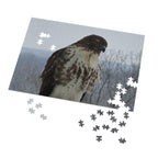Hawk Photography Jigsaw Puzzle with Tin – Wildlife Puzzle