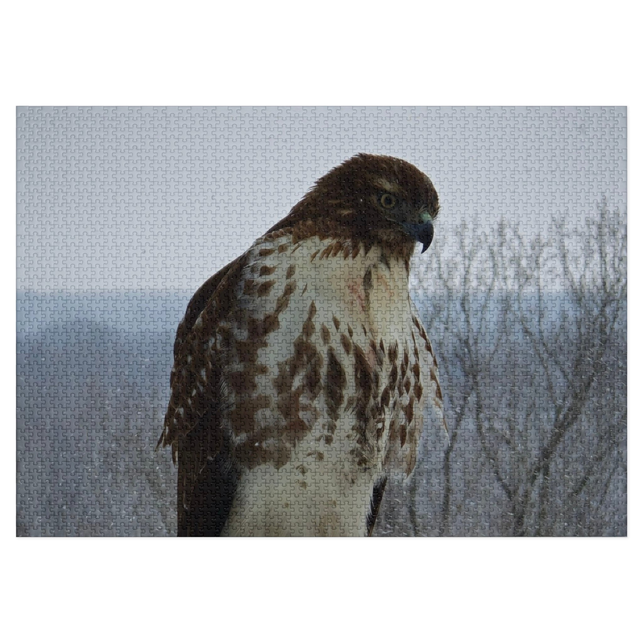 Hawk Photography Jigsaw Puzzle with Tin – Wildlife Puzzle