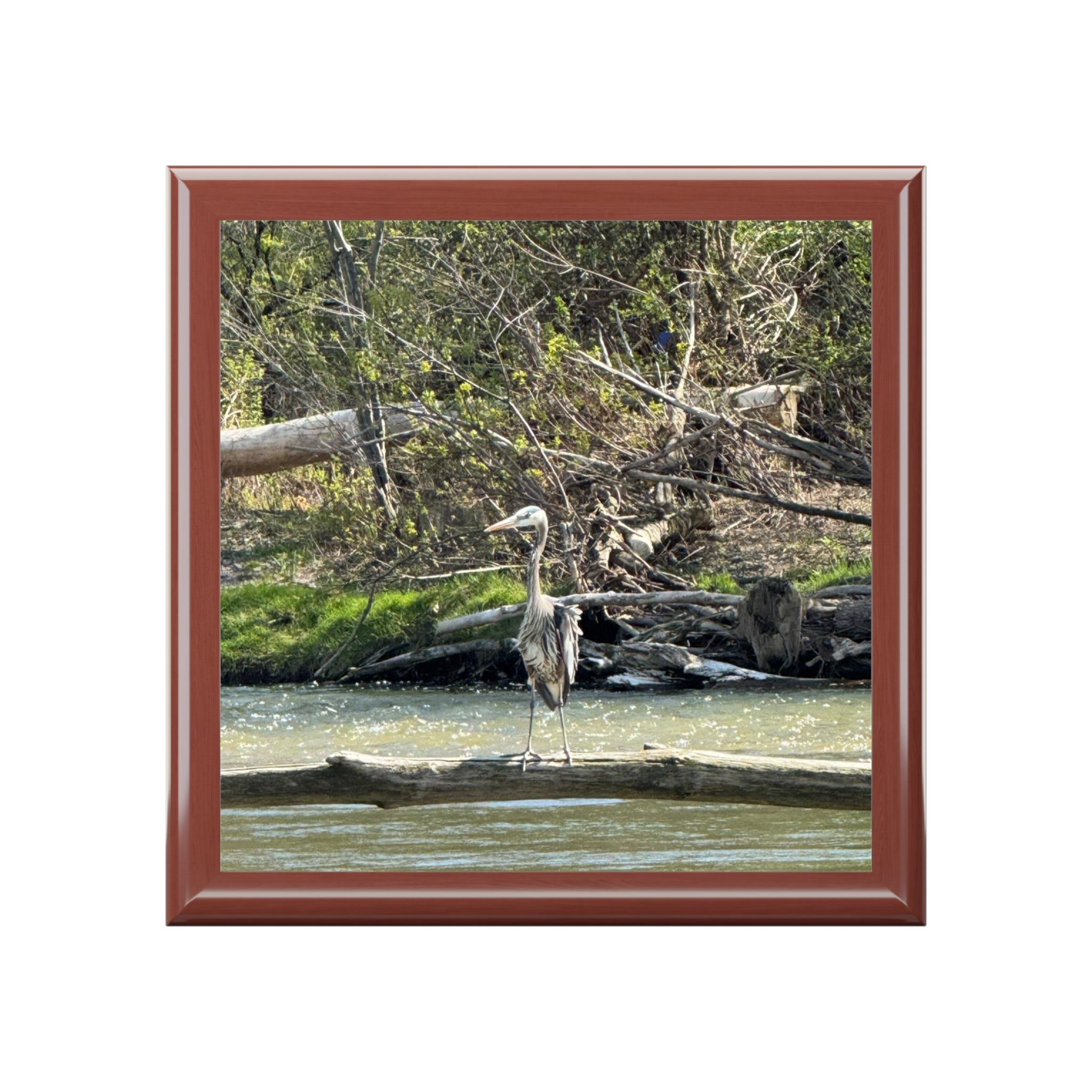 Heron River Jewelry Box — Nature Photo Keepsake Box