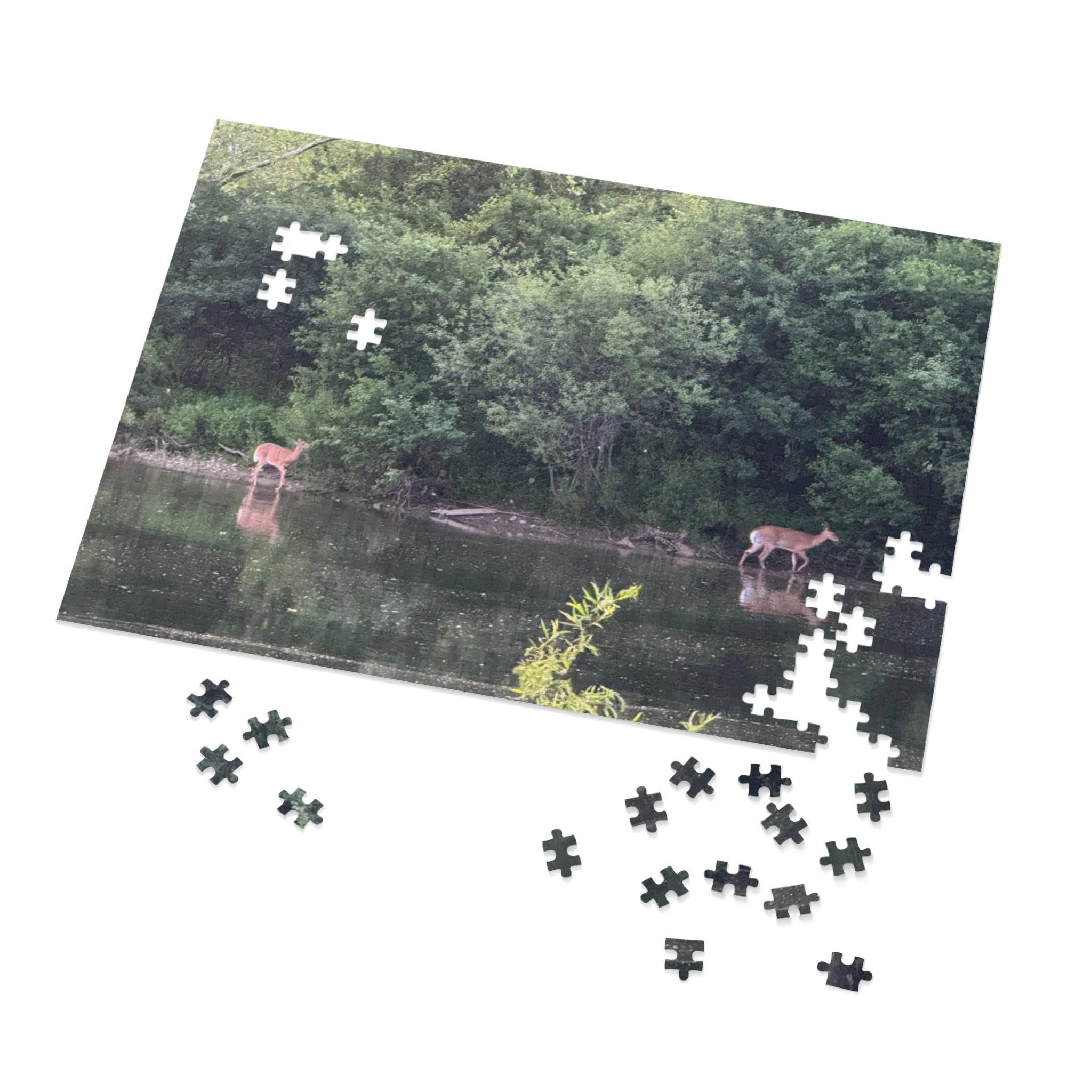 Deer by the River Jigsaw Puzzle with Tin — Scenic Nature Puzzle
