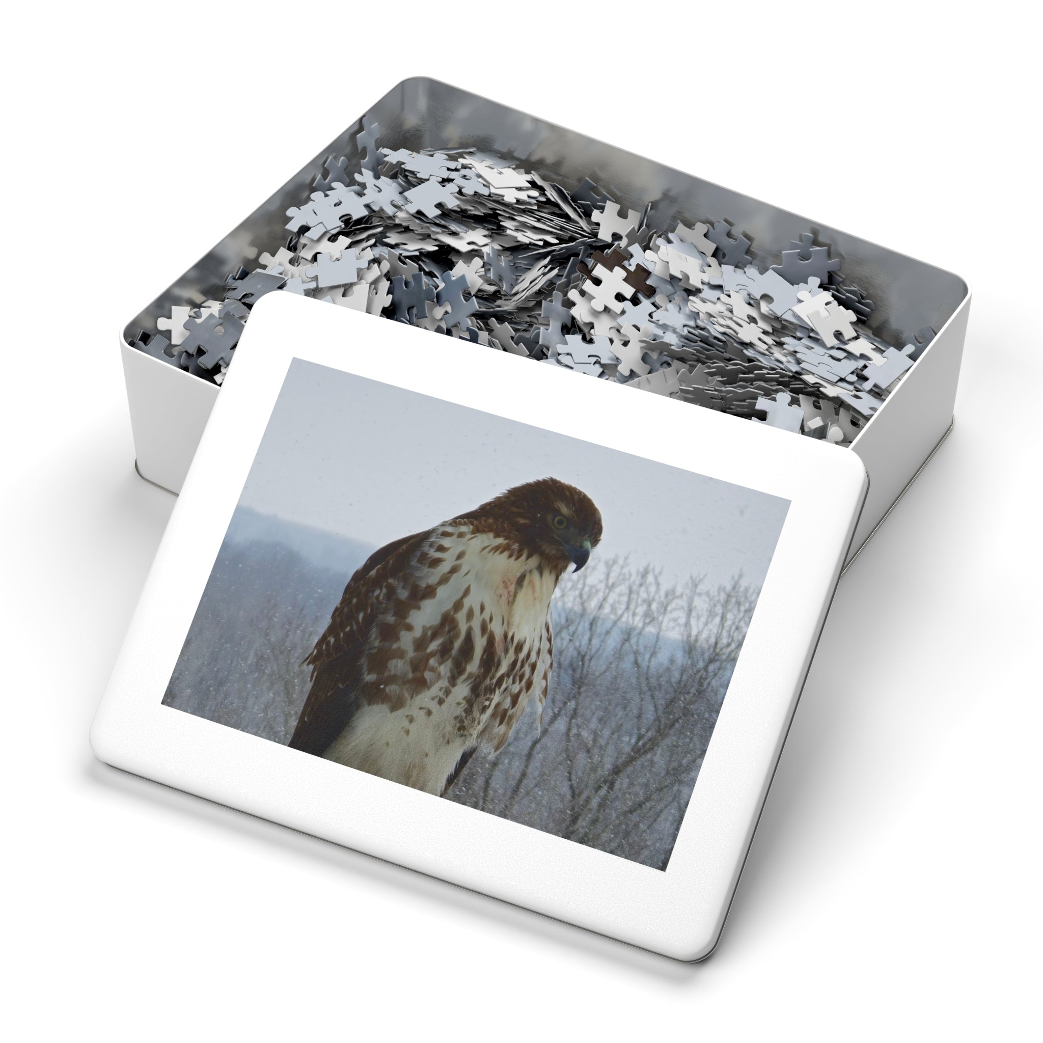 Hawk Photography Jigsaw Puzzle with Tin – Wildlife Puzzle