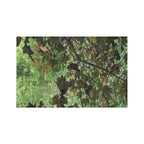 Forest Canopy Microfiber Tea Towel — Green Leaf Nature Print
