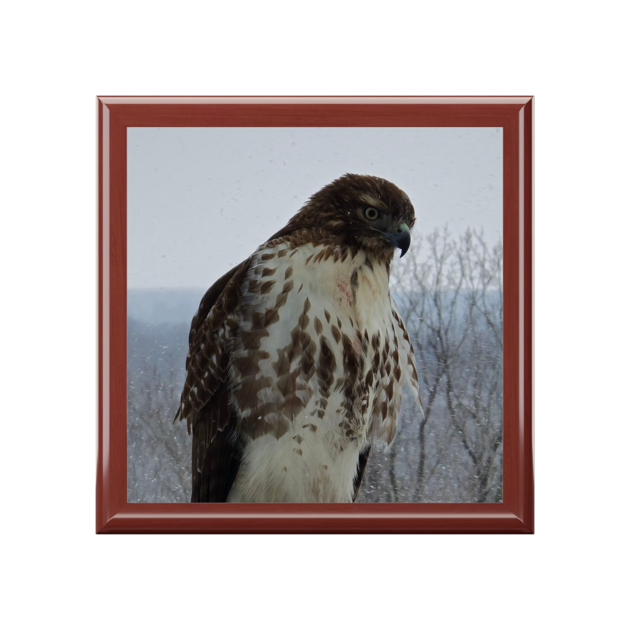 Hawk Photo Jewelry Box – Decorative Keepsake Box with Bird of Prey Image