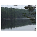 Lake Reflection Jigsaw Puzzle (with Tin) — Tranquil Forest Landscape Puzzle
