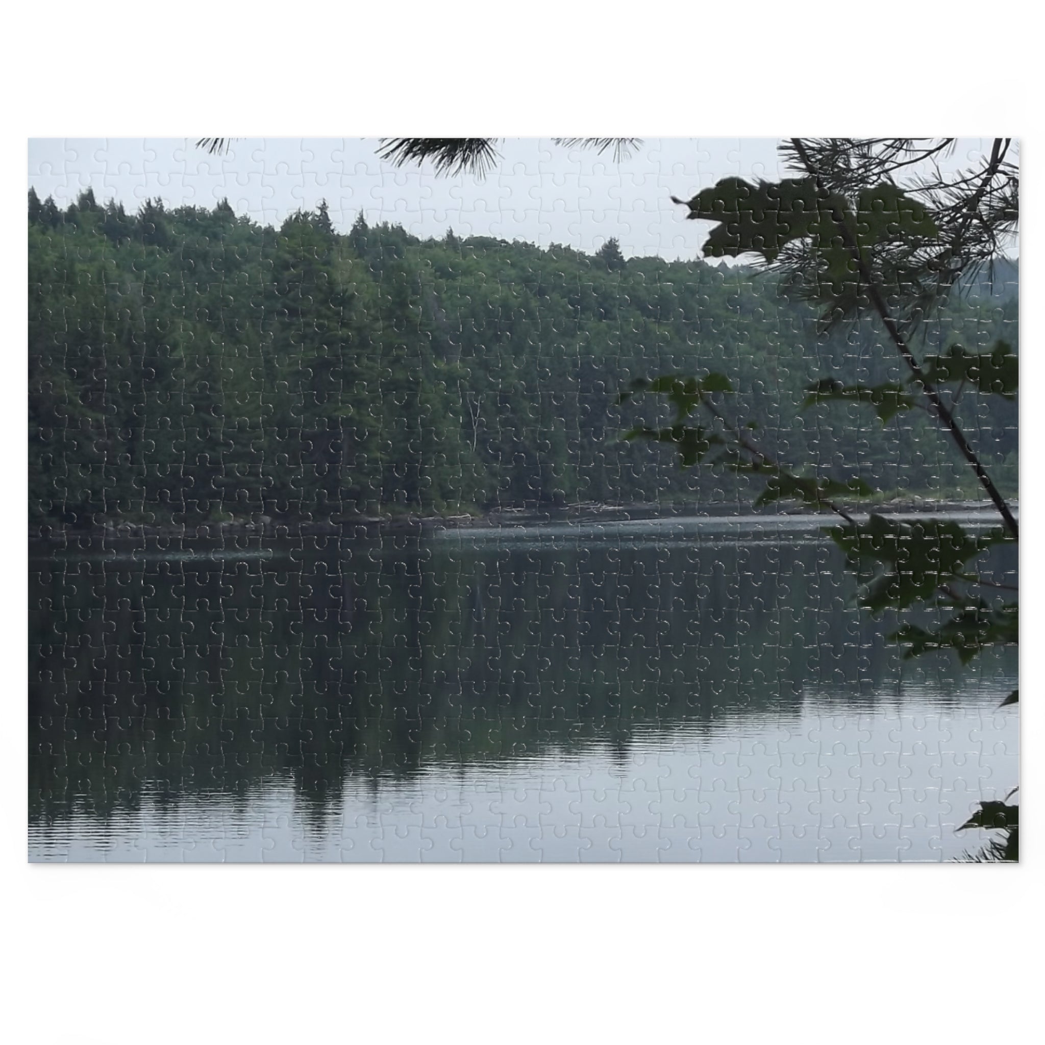 Lake Reflection Jigsaw Puzzle (with Tin) — Tranquil Forest Landscape Puzzle